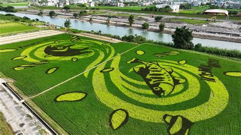 壯 圍 彩繪 稻田
